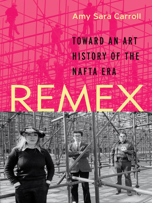 cover image of REMEX